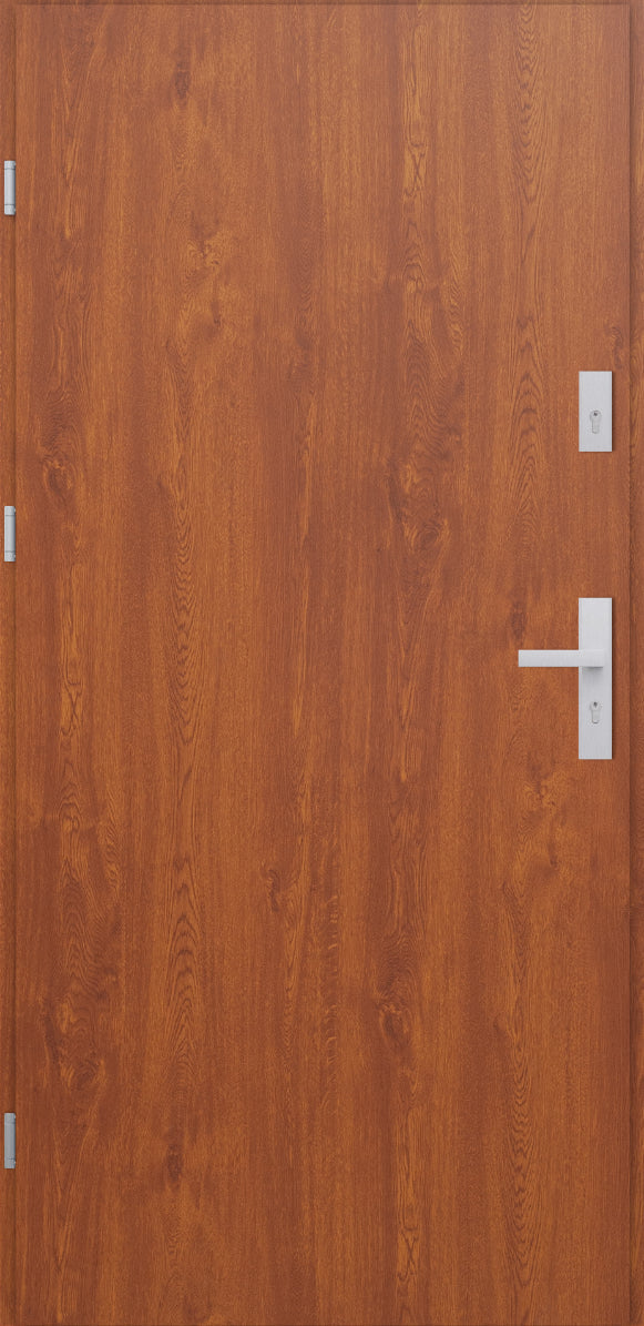 Turenwerke ATU 68 Design 502 Steel Door - Golden Oak
