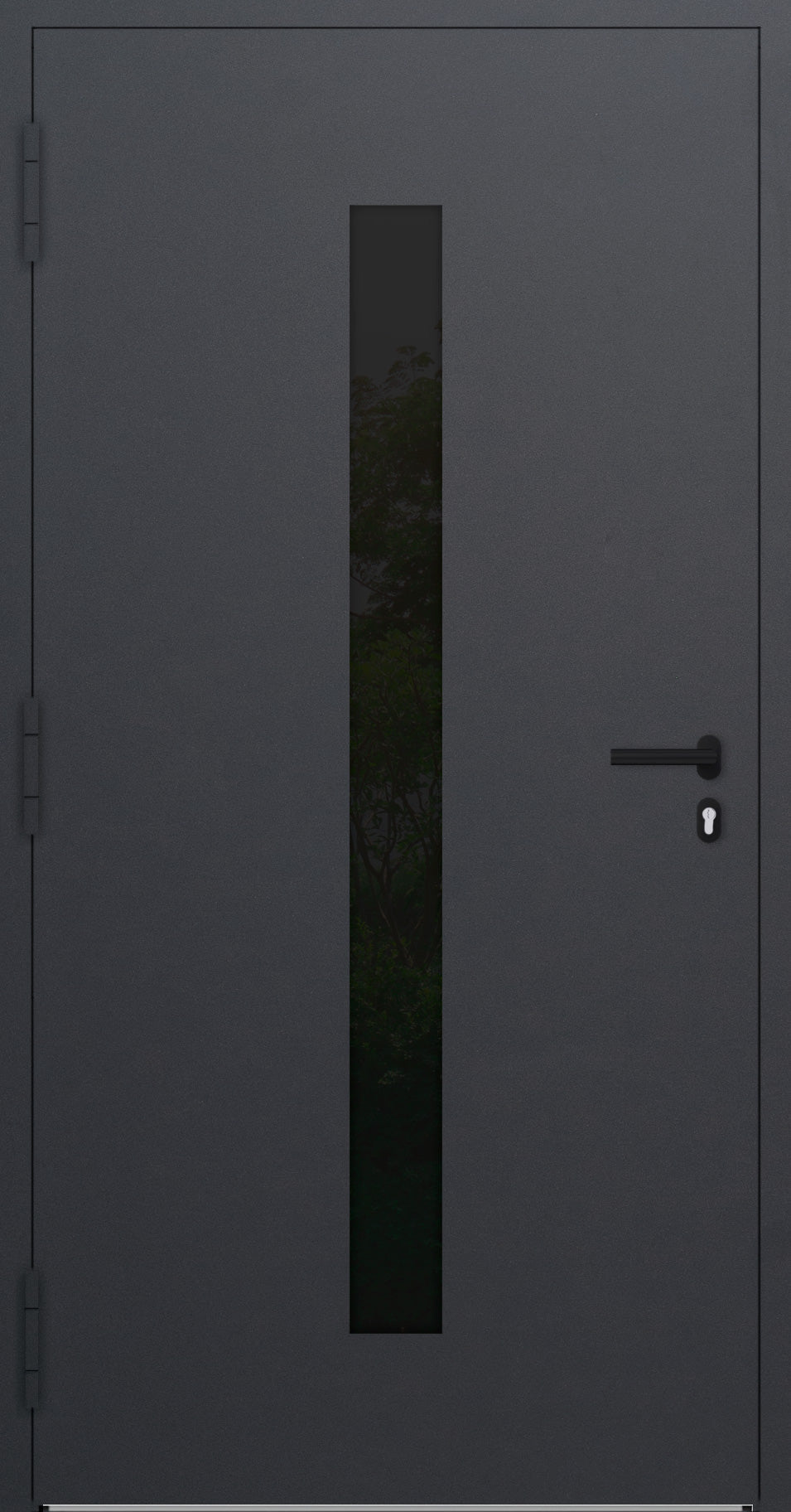 Turenwerke P90 Design 21 Aluminium Door - Anthracite DB703 - Blackline