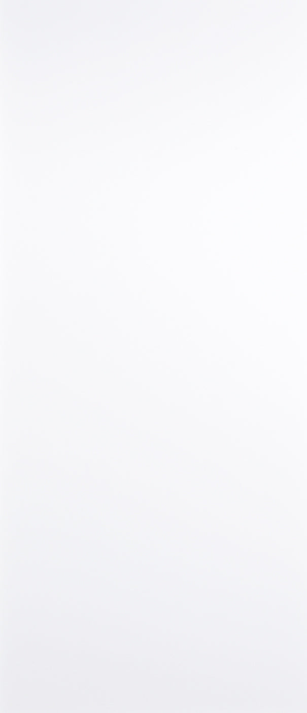White Primed Flush Door