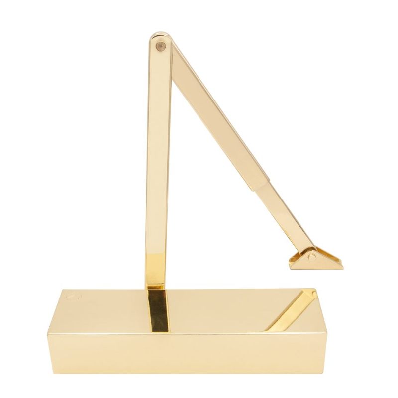 Zoo Size 25 Door Closer c/w Back Check & Delayed Action PVD Gold Fl