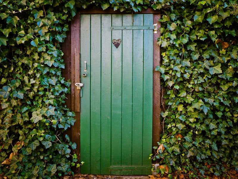 Giving Your Old Door a Second Life: A Guide to Recycling and Upcycling