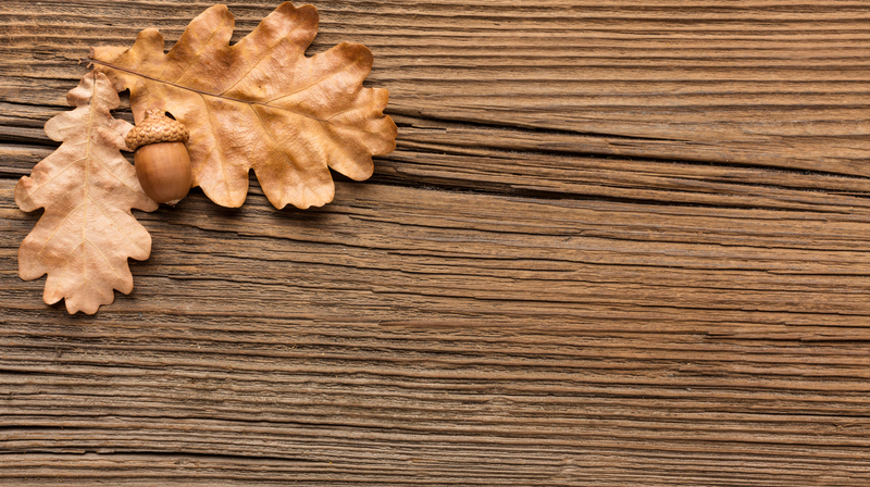 How to Finish and Maintain Oak Window Boards for Lasting Beauty