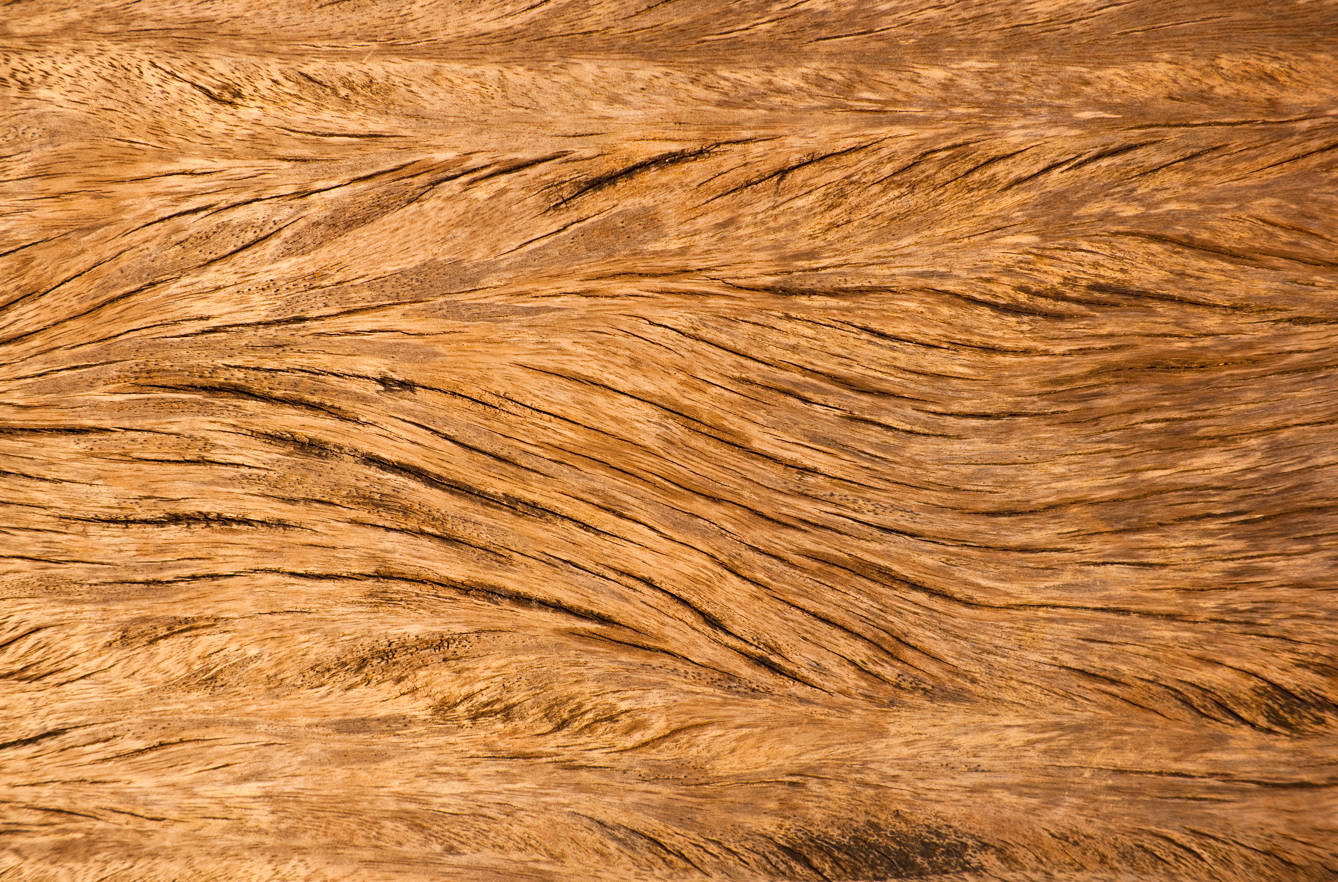 Live Edge vs. Rough Sawn Oak: Which Is Right for Your DIY Project?
