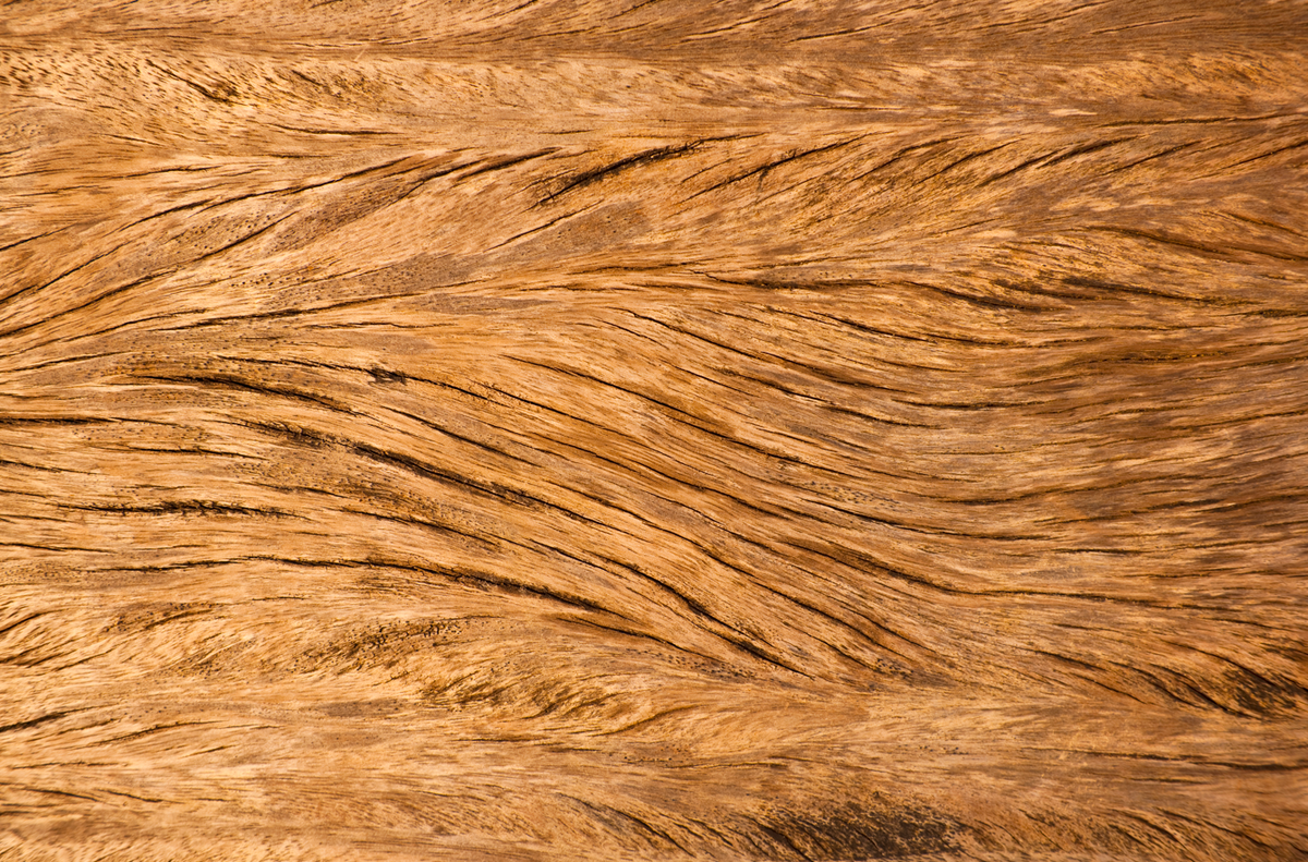 Live Edge vs. Rough Sawn Oak: Which Is Right for Your DIY Project?