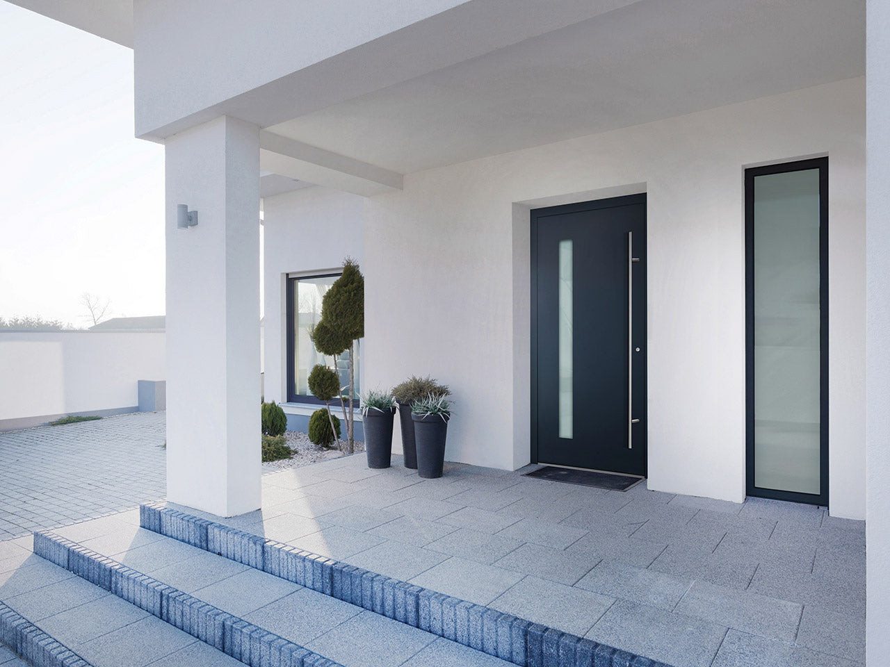 External Aluminium Doors