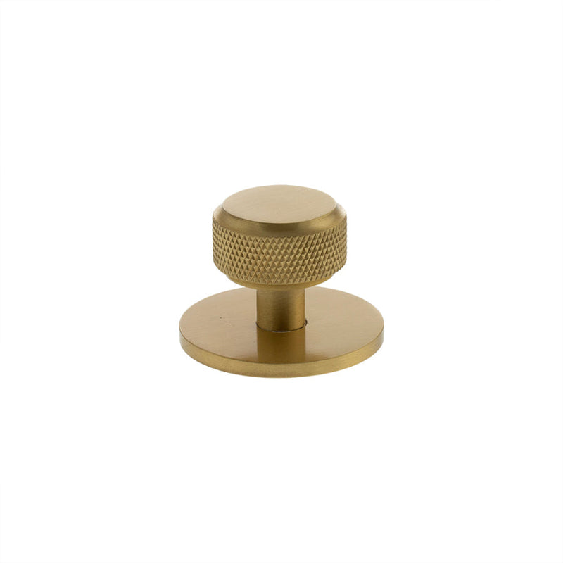 Millhouse Brass Eiffel Knurled Round Cabinet Knob Handle on Backplate - Satin Brass