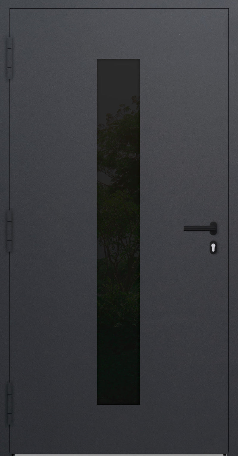 Turenwerke P90 Design 35 Aluminium Door - Anthracite DB703 - Blackline