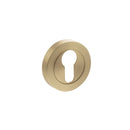 Atlantic STATUS Euro Escutcheons on Round Rose - Satin Brass
