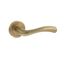 Atlantic STATUS Texas Lever Door Handle on Round Rose - Satin Brass