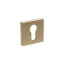 Atlantic Senza Pari Euro Escutcheons on Minimal Square Rose - Satin Brass