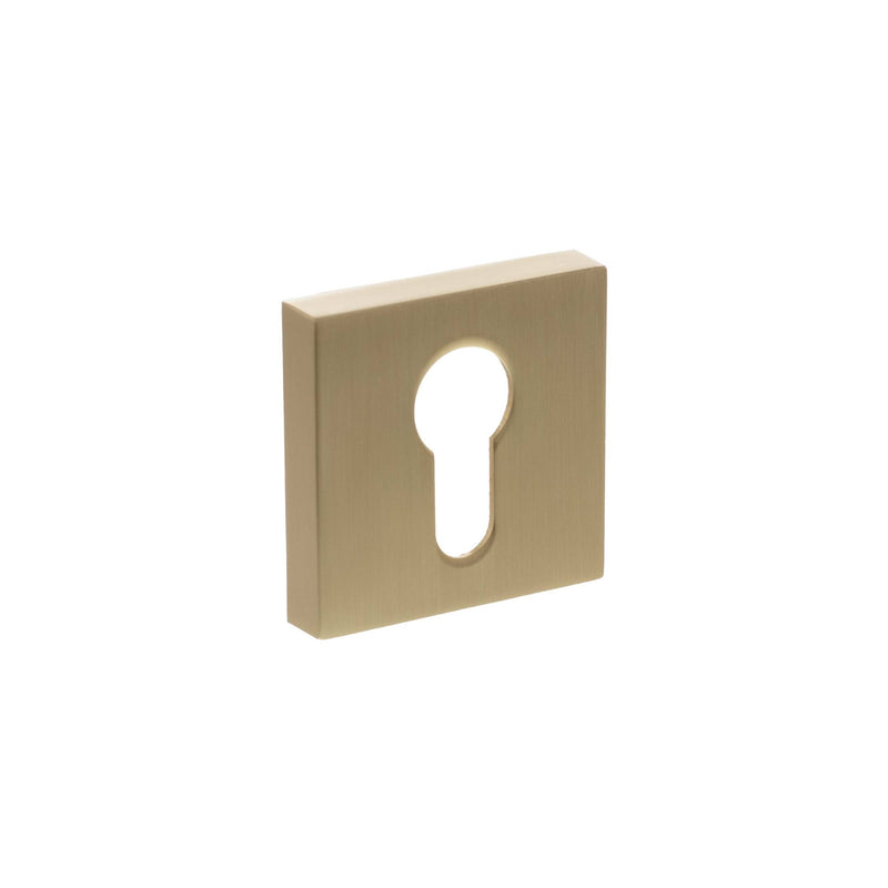 Atlantic Senza Pari Euro Escutcheons on Minimal Square Rose - Satin Brass