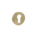 Atlantic Senza Pari Euro Escutcheons on Minimal Round Rose - Satin Brass