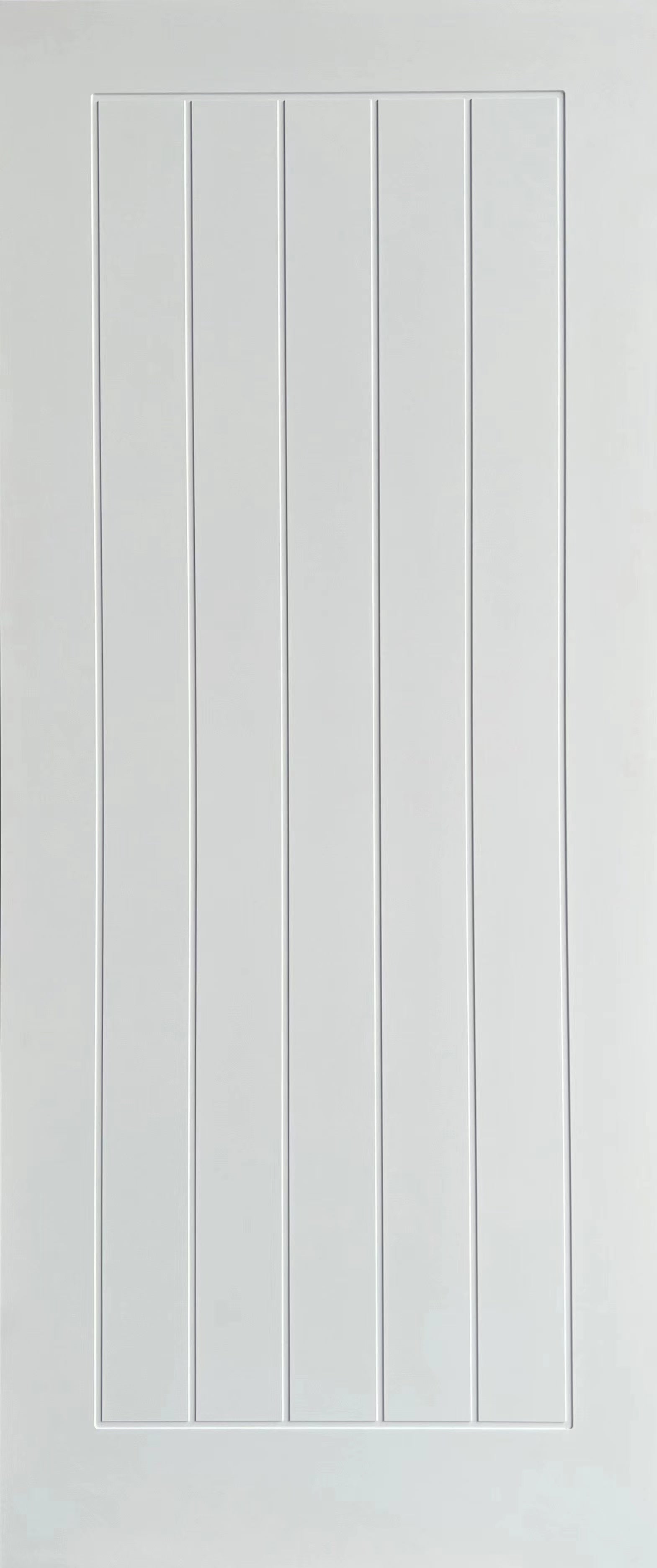 Artis Denver 5P White Primed Internal door