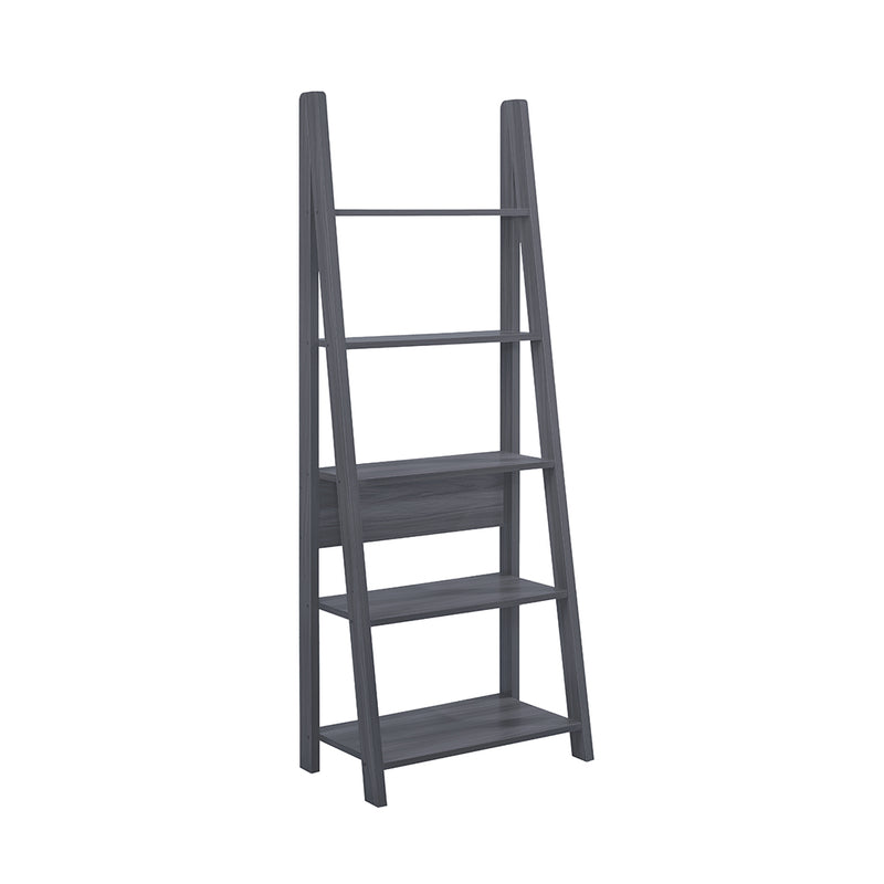 LPD Tiva Ladder Bookcase