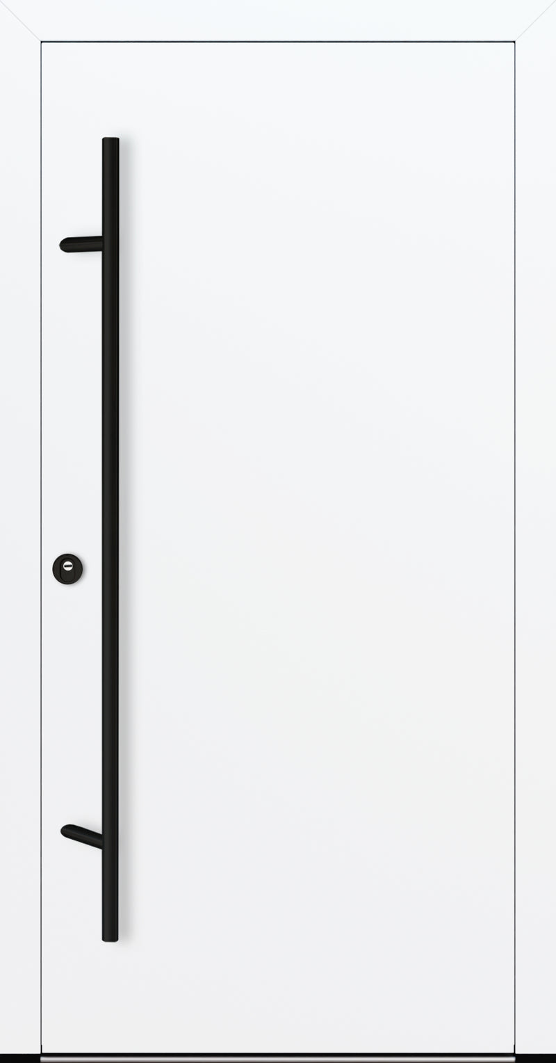 Turenwerke DS92 Design 00 Aluminium Door - White - Blackline