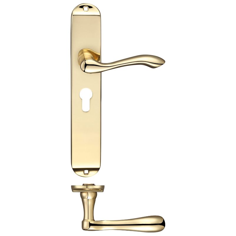 Zoo Arundel Lever Euro Lock (47.5mm c/c) Furniture - Long Plate 245 x 42mm-Polished Brass