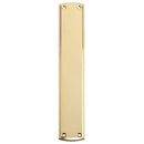 Zoo Finger Plate 64 x 382mm-Polished Brass