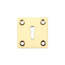 Zoo Square Standard Profile Escutcheon 50mm-Polished Brass