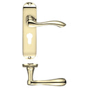 Zoo Project Arundel Lever on Europrofile Lock Backplate - 180mm x 40mm-Electro Brass