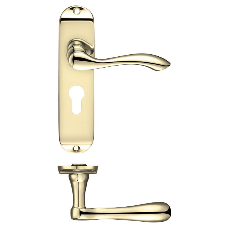 Zoo Project Arundel Lever on Europrofile Lock Backplate - 180mm x 40mm-Electro Brass
