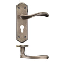 Zoo Project Asti Lever on Europrofile Lock Backplate-Florentine Bronze