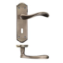 Zoo Project Asti Lever on Lock Backplate-Florentine Bronze
