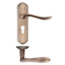 Zoo Project Lincoln Lever on Europrofile Lock Backplate 180x48mm-Florentine Bronze