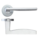 Zoo Pavo Lever on Round Rose - Satin Chrome-Satin Chrome
