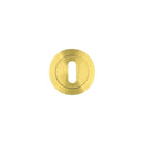 Zoo Standard Profile Escutcheon-PVD Satin Brass