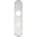 Zoo Radius Cover plate for 19 mm and 22mm RTD Lever on Backplate - Din Euro Profile/72mm Centres-Satin Stainless