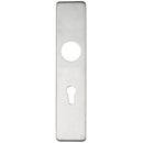 Zoo Cover plate for 19 mm and 22mm RTD Lever on Backplate - Din Euro Profile/72mm Centres-Satin Stainless