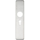 Zoo Cover plate for 19 mm and 22mm RTD Lever on Backplate - Euro Profile 47.5mm-Satin Stainless