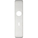 Zoo Cover plate for 19 mm and 22mm RTD Lever on Backplate - Lock 57mm-Satin Stainless