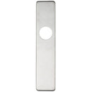 Zoo Cover plate for 19 mm and 22mm RTD Lever on Backplate - Latch-Satin Stainless