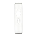 Zoo Cover plate for 19 mm RTD Lever on Short Backplate - Euro Profile 47.5mm - 45mm x180mm PSS-Polished Stainless